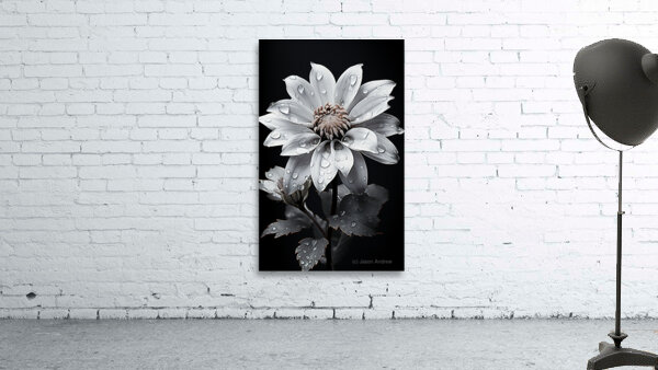 Petal Portrait – Reflective Floral Art Print Wall Preview