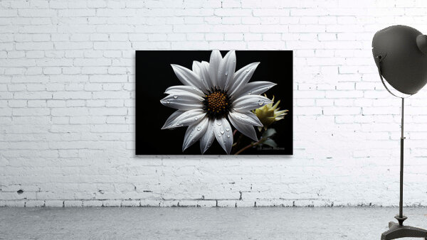 Majestic Macro – Monochrome Sunflower Close-Up Art Print Wall Preview