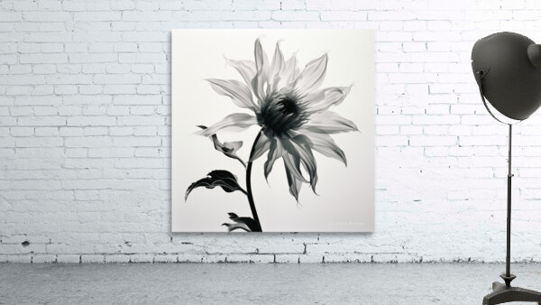 SFWarp – Abstract Floral Art Print Wall Preview