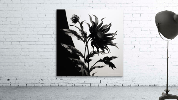 Black and White – Minimal Botanical Art Print Wall Preview