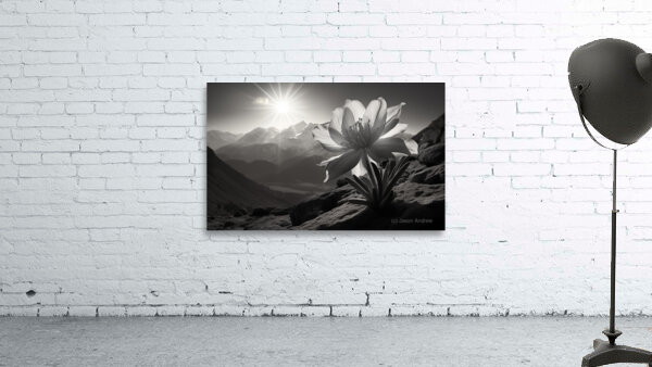 Alone – Dramatic Seascape Art Print Wall Preview