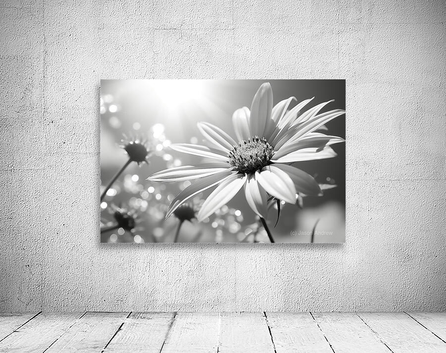 Whispers of the Sun – Minimal Daisy Art Print Wall Preview