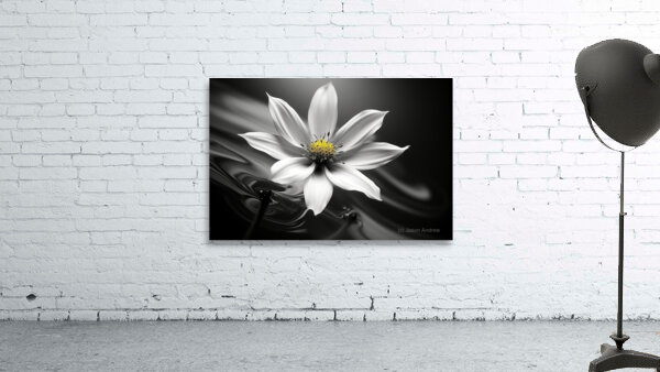 Eclipsed in Bloom – Monochrome Floral Art Print Wall Preview