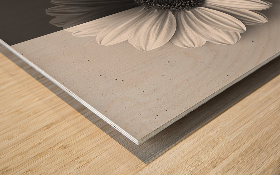 50 50 - Black & White Floral Art Prints Wood print