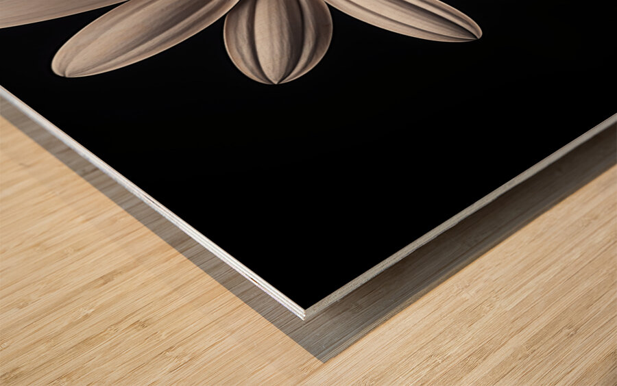 Beaute Impeccable - Impeccable Beauty - Pop Surreal Portrait Art Prints Wood print