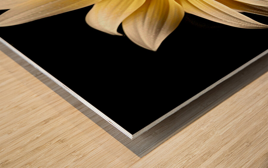 Petal Perspective 48 - Macro Floral Art Prints Wood print