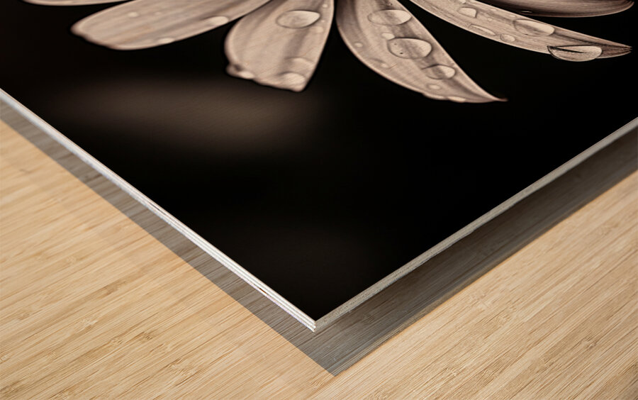 Petal Perspective 44 - Macro Floral Art Prints Impression sur bois