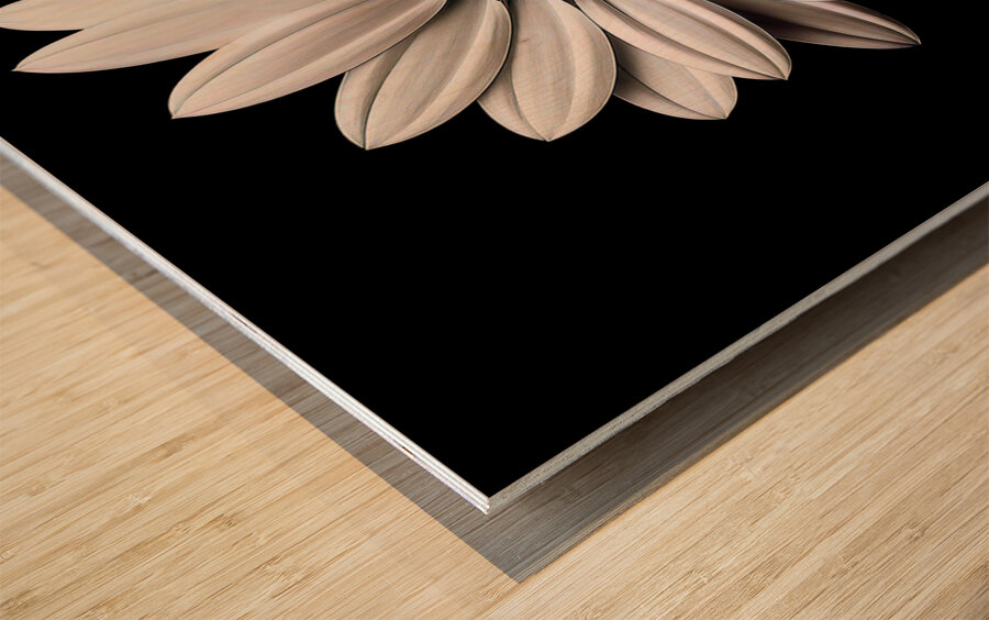 Petal Perspective 31 - Macro Floral Art Prints Wood print