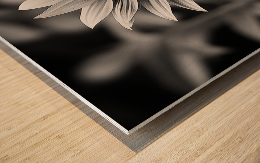 Petal Perspective 5 - Macro Floral Art Prints Wood print