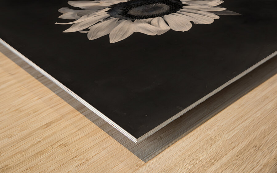 Sunflower Selfie 2 - Sunflower Portrait Art Prints Wood print