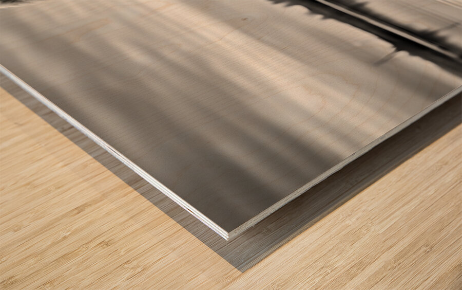 Looking Through You - Reflective Minimalist Landscape Art Prints Wood print