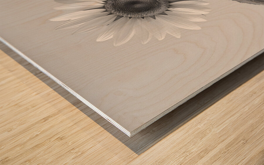 Sunflower Selfie 7 - Sunflower Portrait Art Prints Impression sur bois