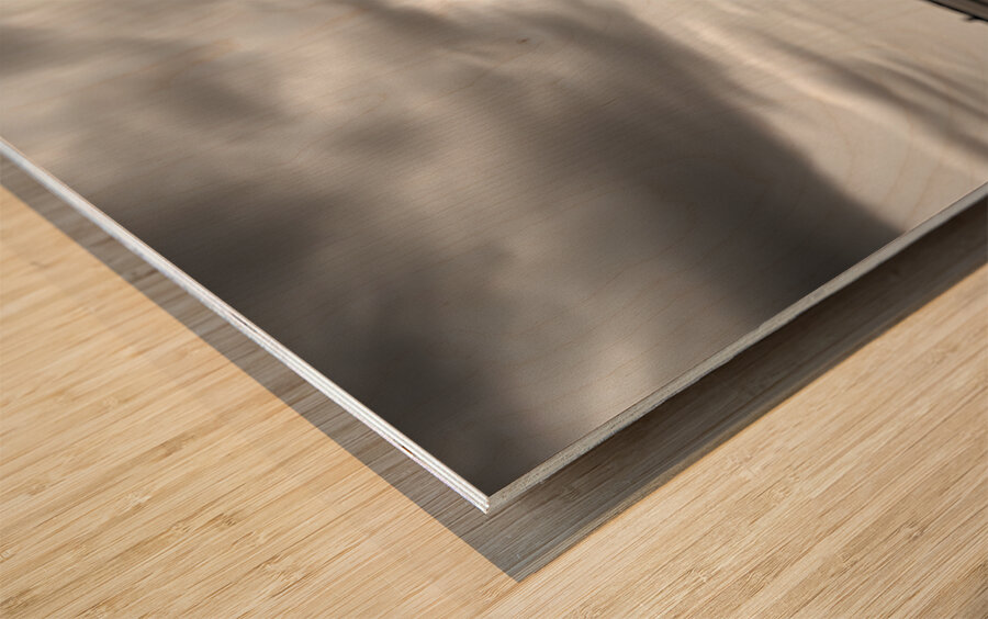 Hope In Contrast - Minimal Sunflower Art Prints Impression sur bois