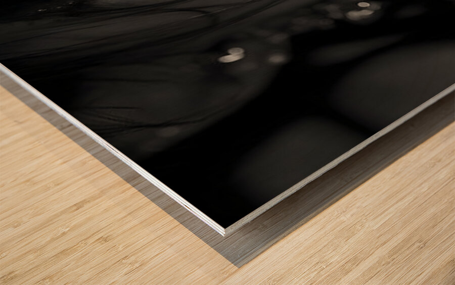 La Novia Del Silencio - The Bride Of Silence - Pop Surreal Portrait Art Prints Wood print