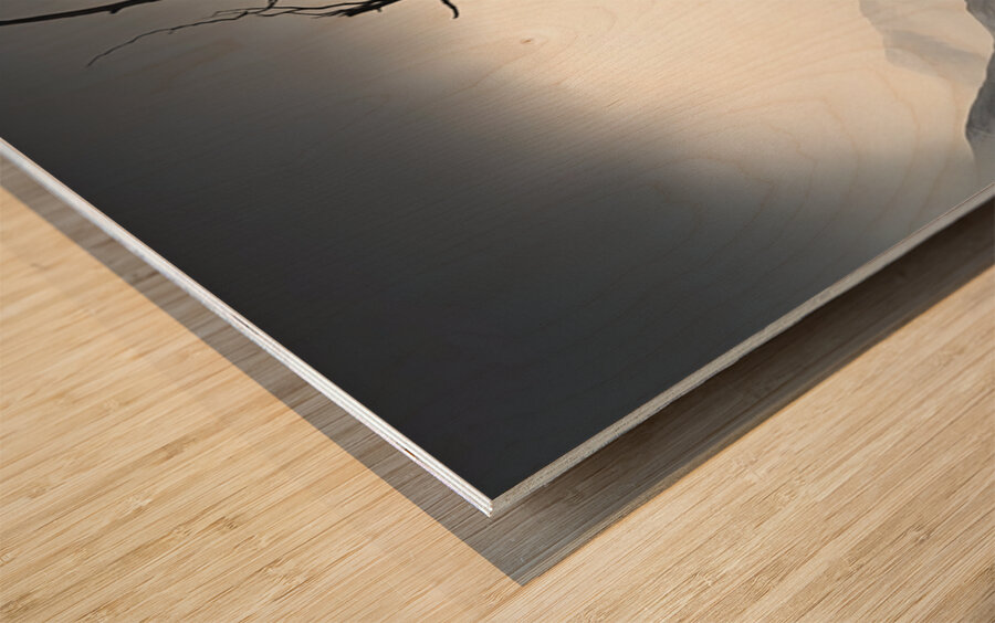 Where Silence Flows - Monochrome Landscape Art Prints Wood print