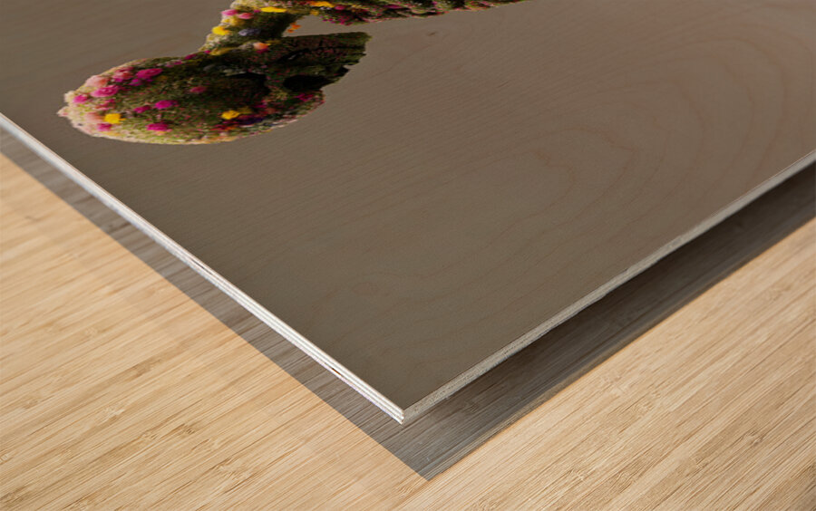 Decay In Bloom - Sculptural Botanical Art Prints Wood print