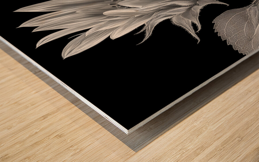 Sunflower Selfie 8 - Sunflower Portrait Art Prints Wood print