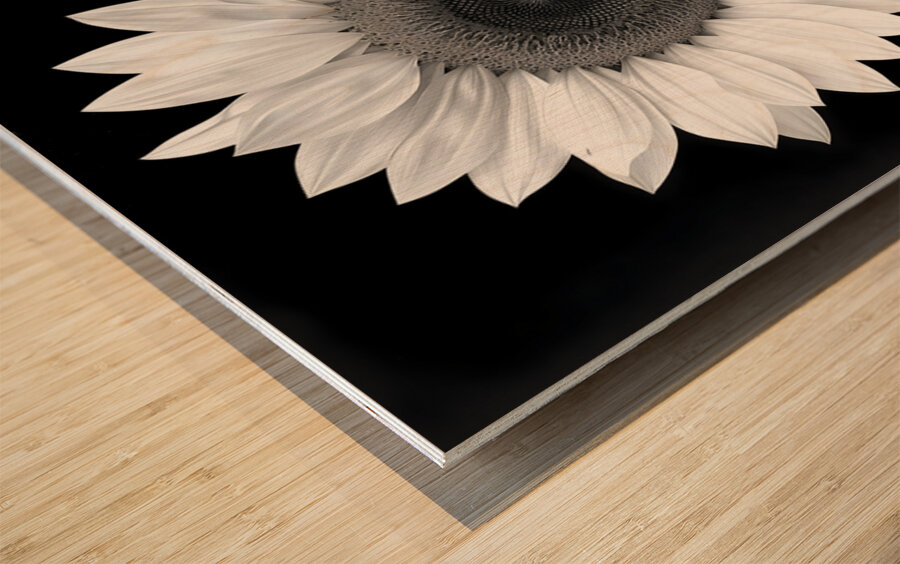 Sunflower Selfie 10 - Sunflower Portrait Art Prints Wood print