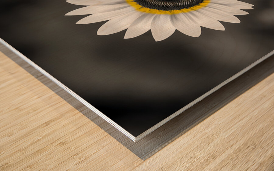 Sunflower Selfie 12 - Sunflower Portrait Art Prints Wood print