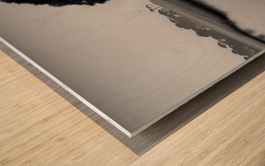 Solitude - Monochrome Landscape Art Prints Wood print