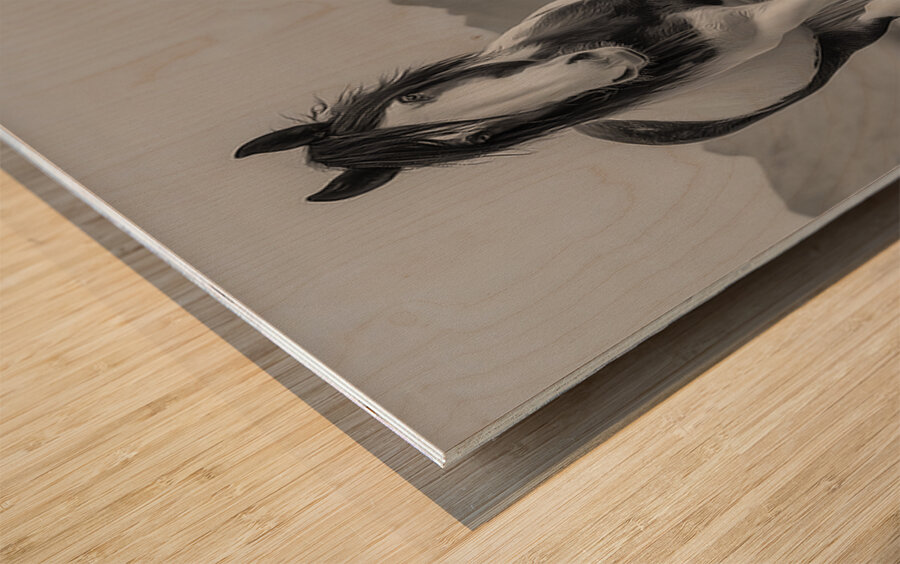 Born Of Dust And Light - Modern Abstract Art Prints Wood print