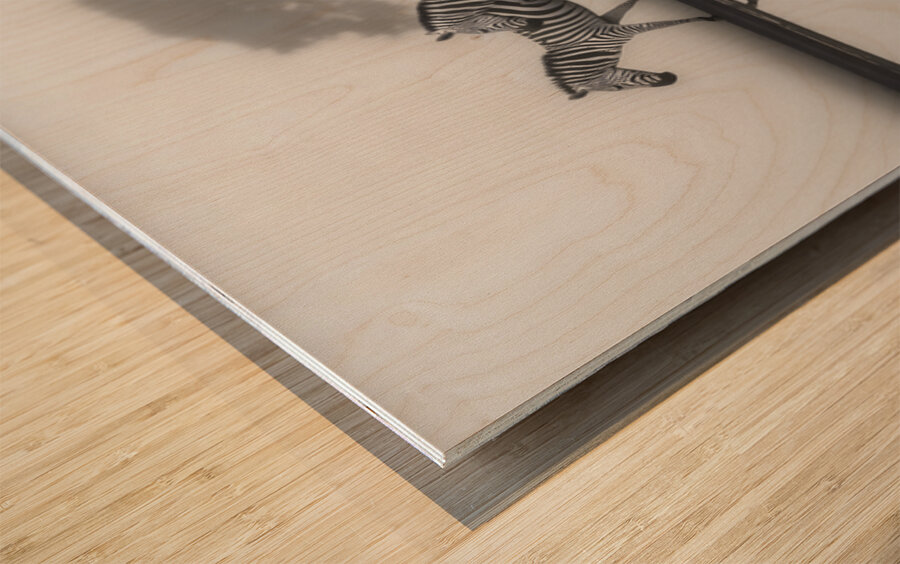 Led Beside Still Waters - Monochrome Landscape Art Prints Wood print