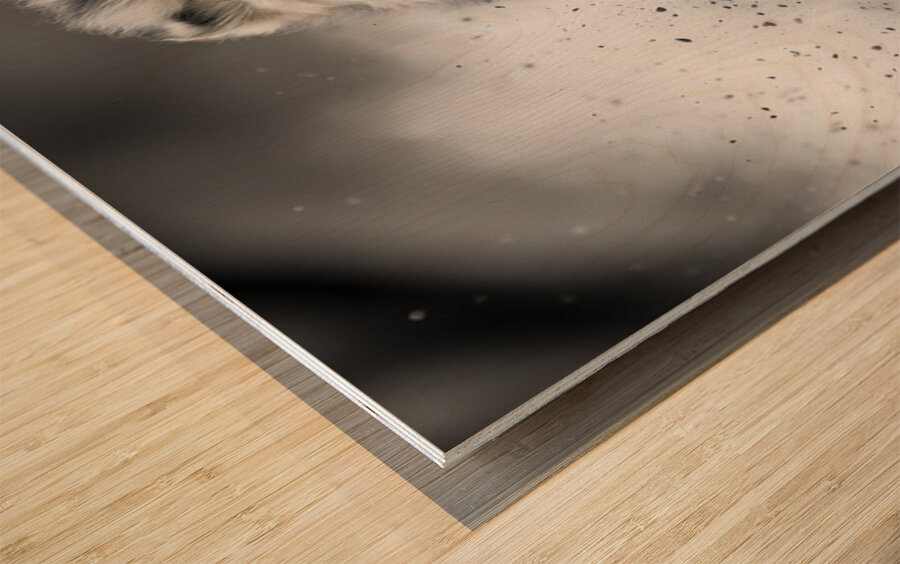 Sanctified And Savage - Modern Inspirational Art Prints Wood print