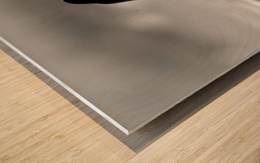 Under His Wings - Inspirational Monochrome Art Prints Impression sur bois