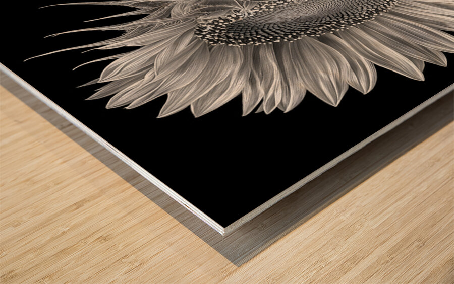 Sunflower Selfie 13 - Sunflower Portrait Art Prints Wood print