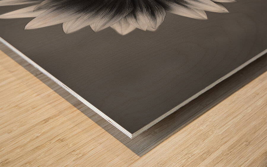 Sunflower Selfie 15 - Sunflower Portrait Art Prints Wood print