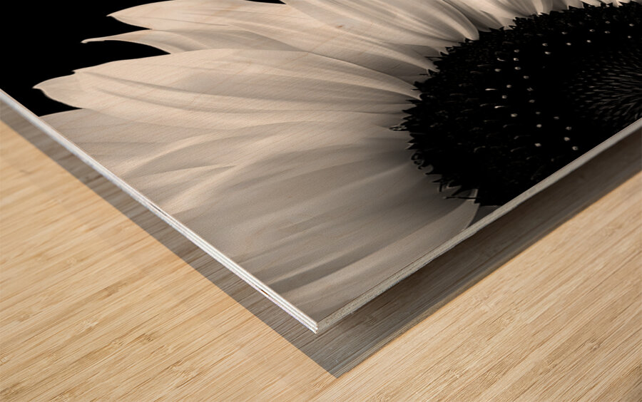 Sunflower Selfie 16 - Sunflower Portrait Art Prints Wood print