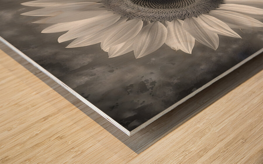 Sunflower Selfie 17 - Sunflower Portrait Art Prints Wood print