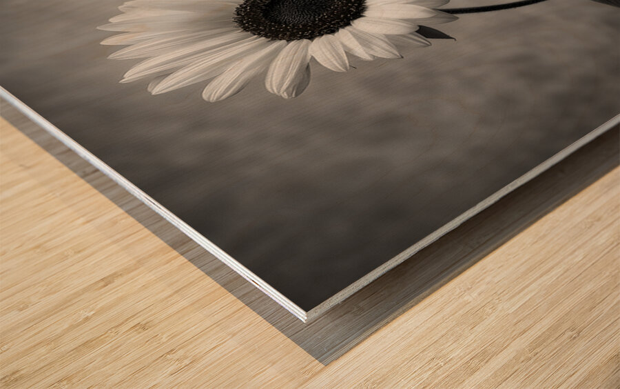 Sunflower Selfie 18 - Sunflower Portrait Art Prints Wood print