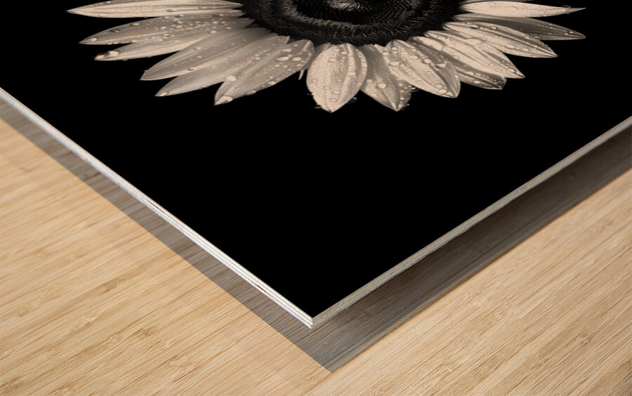 Sunflower Selfie 22 - Sunflower Portrait Art Prints Wood print