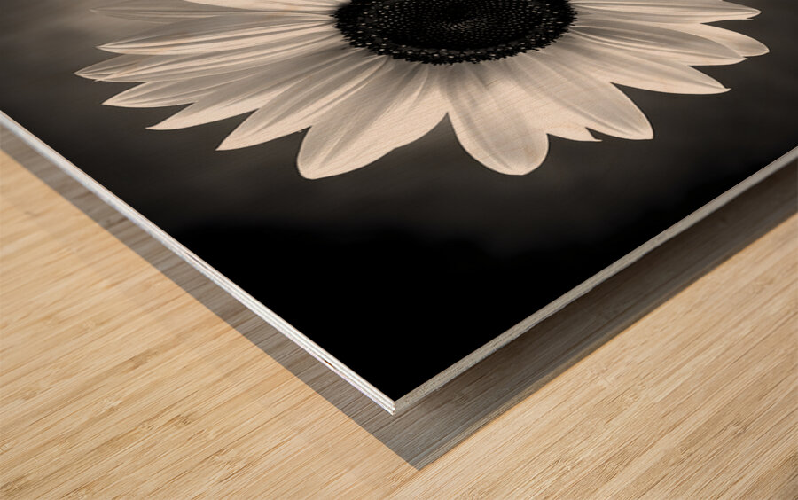 Sunflower Selfie 21 - Sunflower Portrait Art Prints Wood print