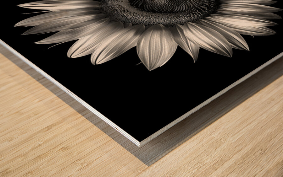 Sunflower Selfie 25 - Sunflower Portrait Art Prints Wood print