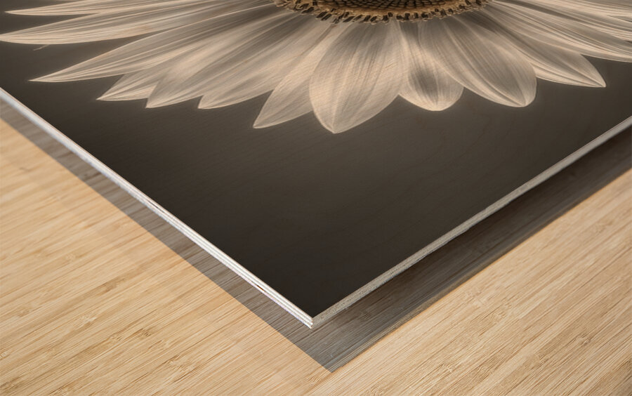 Sunflower Selfie 23 - Sunflower Portrait Art Prints Wood print