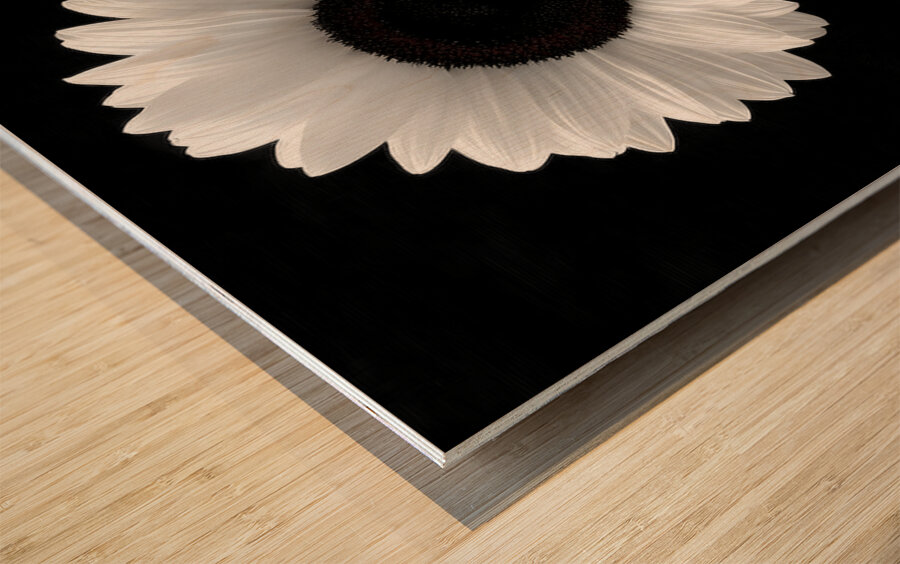 Sunflower Selfie 24 - Sunflower Portrait Art Prints Wood print