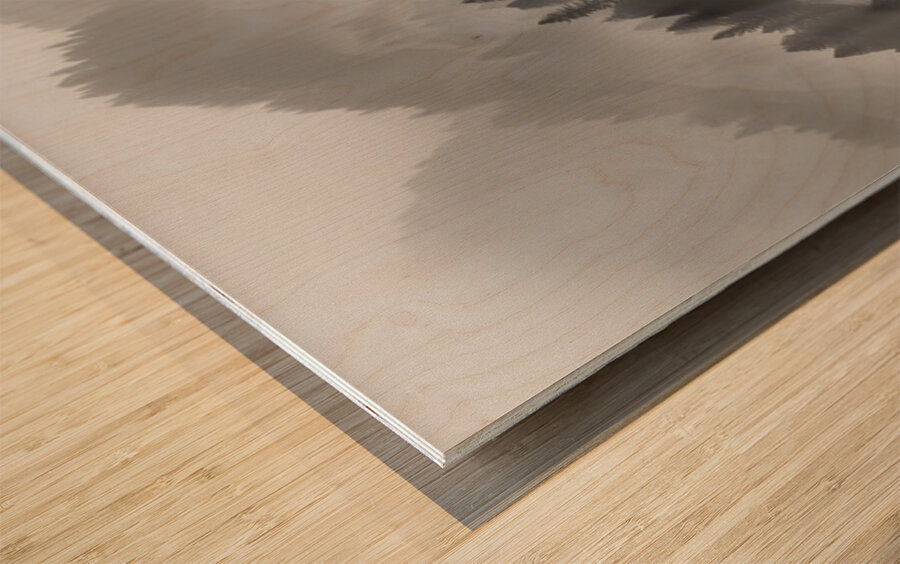 Mist Over Mountain Pines - Monochrome Landscape Art Prints Wood print