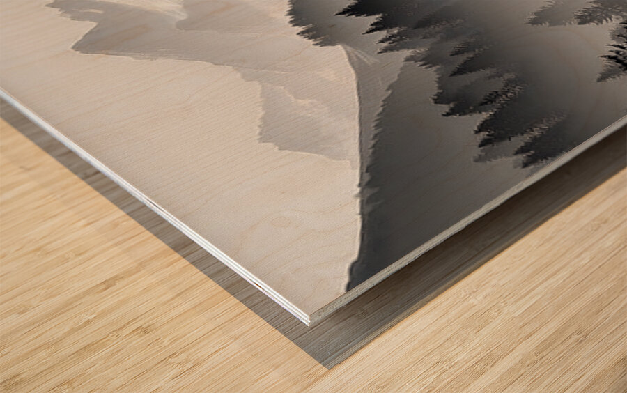 Timber And Time - Monochrome Landscape Art Prints Wood print