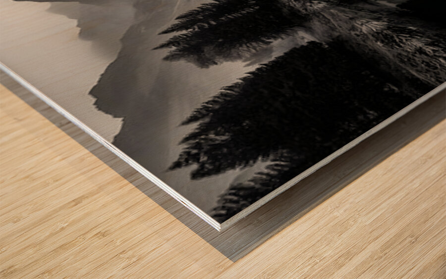 The Mirror Of Solitude - Monochrome Landscape Art Prints Impression sur bois