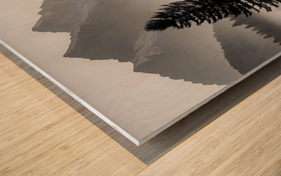 Morning Fog In The Valley - Monochrome Landscape Art Prints Impression sur bois