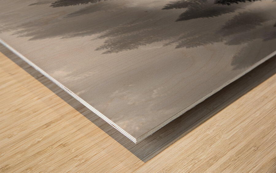 Misty Pine Hillside - Monochrome Landscape Art Prints Wood print