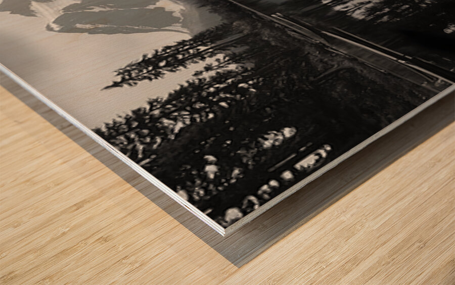 Reflections Of The Wild - Monochrome Landscape Art Prints Wood print