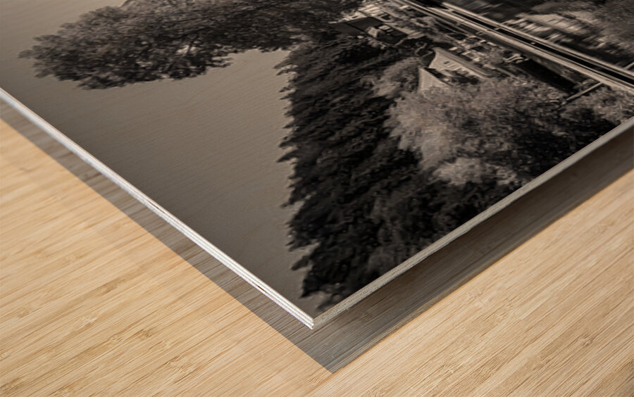 Reflected Dreams - Monochrome Landscape Art Prints Wood print