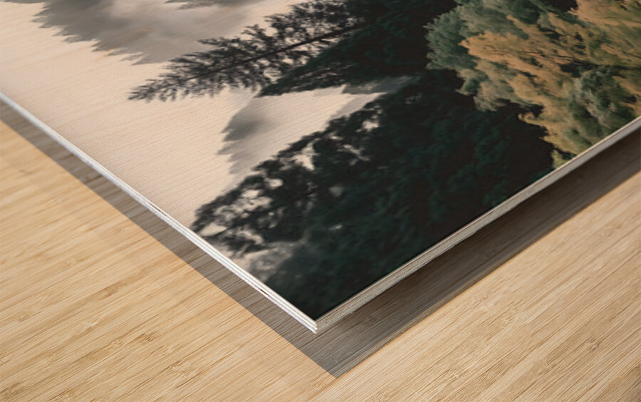 Under The Shroud - Monochrome Landscape Art Prints Wood print