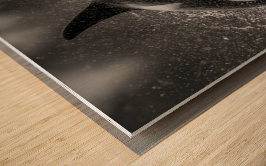 Ambush - Orca Wildlife Art Prints Impression sur bois