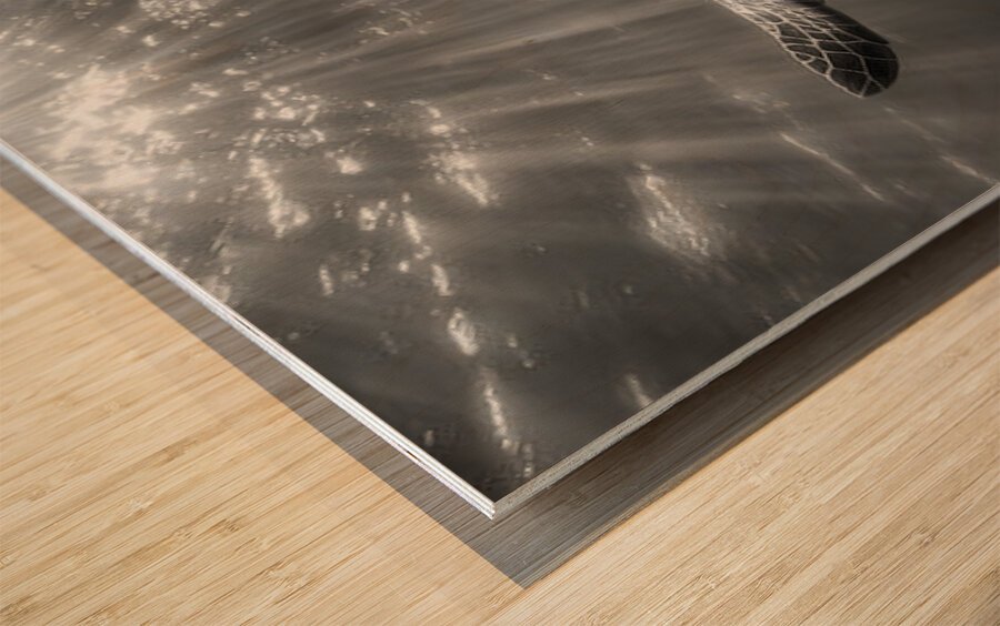 The Slow Path – Minimal Monochrome Art Print Wood print