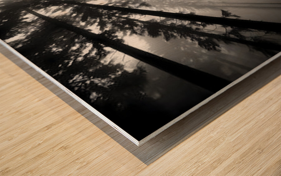 The Vertical Silence – Black & White Landscape Art Print Wood print