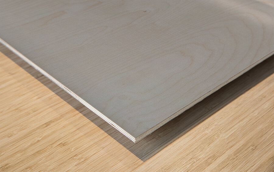 Ghost of the Tundra – Arctic Wildlife Art Print Wood print